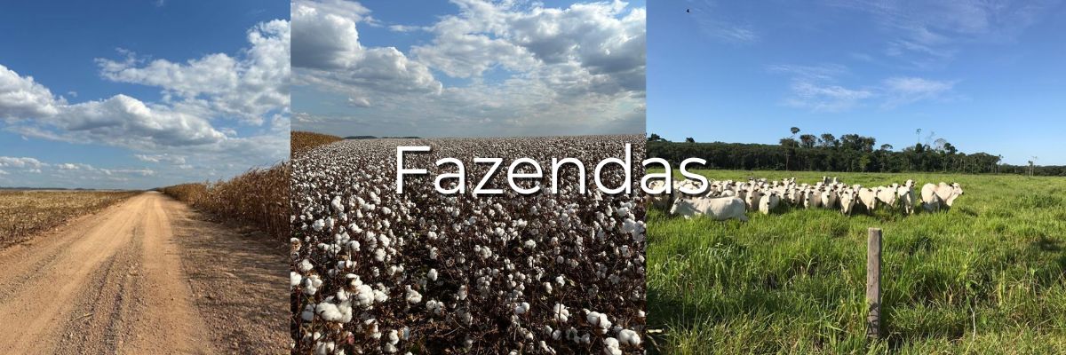 fazendas