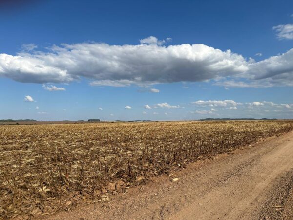 Fazenda Alegria - REF 001