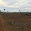 Fazenda - REF 010