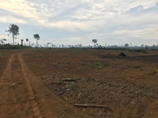 Fazenda - REF 010