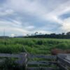 Fazenda - REF 010